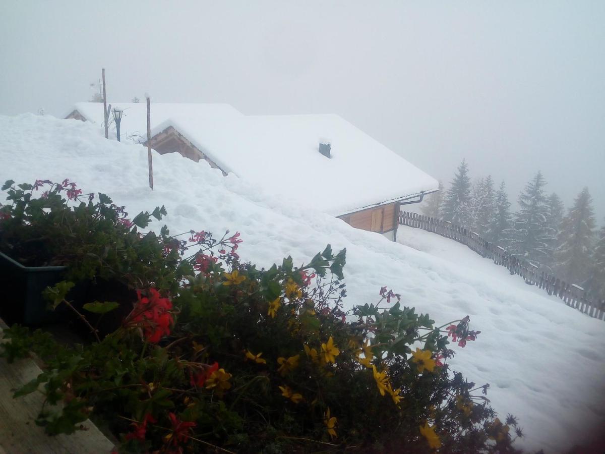 Chalet Niederhaushof ألتيمو المظهر الخارجي الصورة