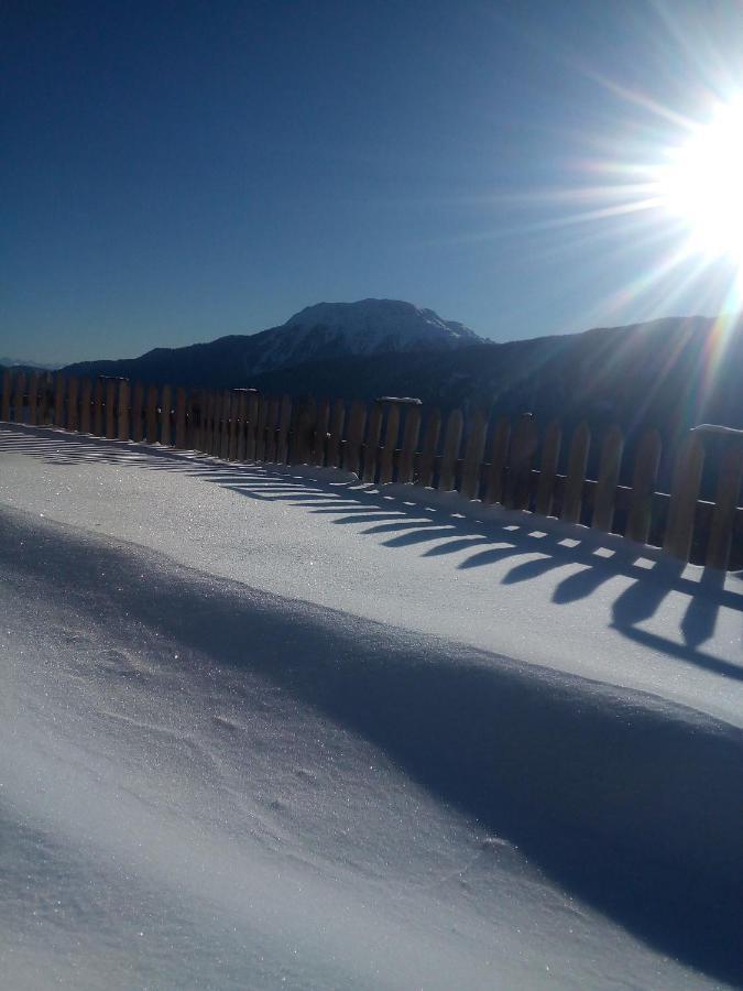 Chalet Niederhaushof ألتيمو المظهر الخارجي الصورة