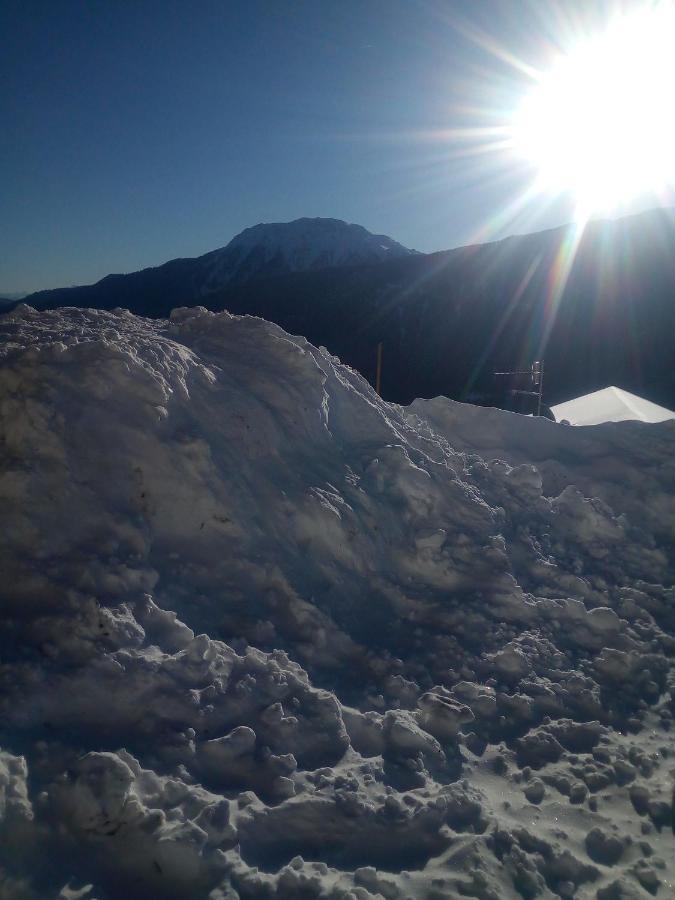 Chalet Niederhaushof ألتيمو المظهر الخارجي الصورة