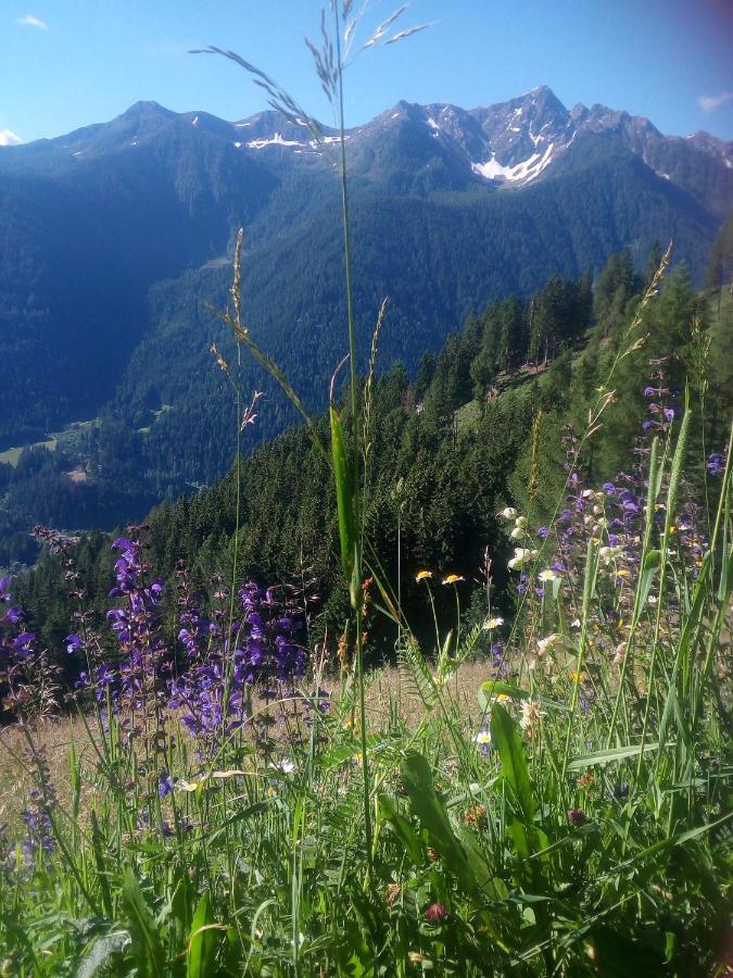 Chalet Niederhaushof ألتيمو المظهر الخارجي الصورة