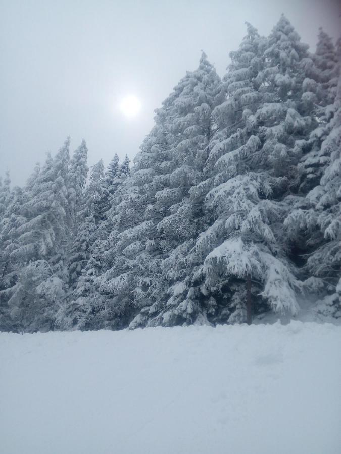 Chalet Niederhaushof ألتيمو المظهر الخارجي الصورة